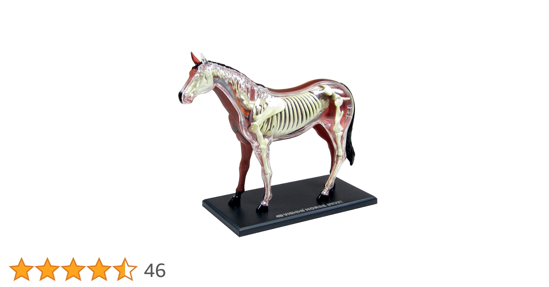 スケルトン 解剖 動物模型 ワニ トラ 馬　フグ 4 VISION剖　ハロウィン スケルトン 解剖 動物模型 ワニ トラ 馬 フグ4 VISION 剖｜Yahoo
